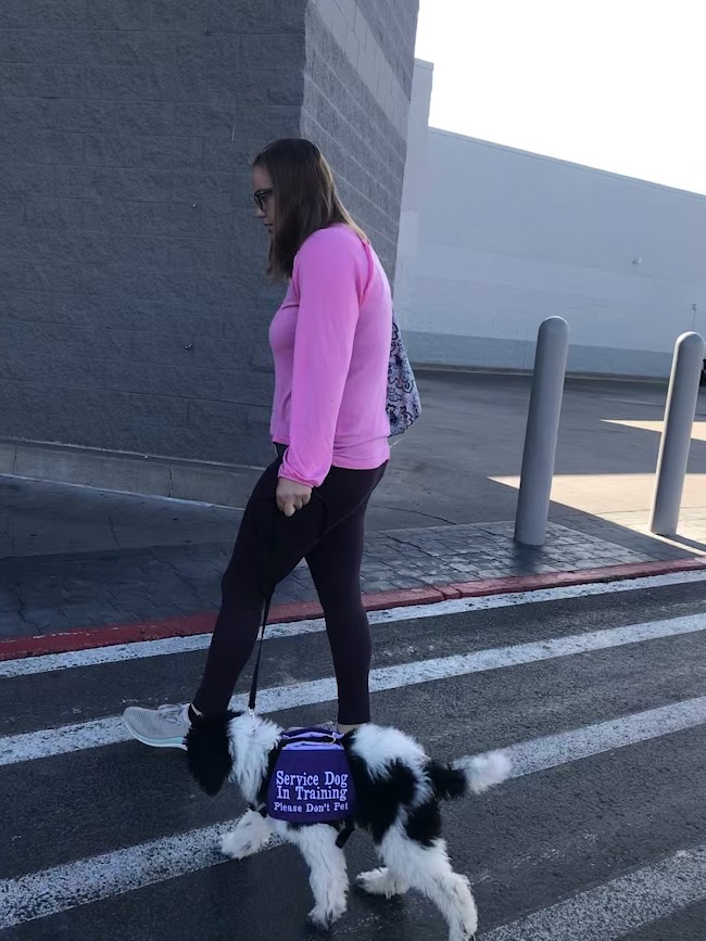 service dog trainer Candra Gurney Mabel Service Dog Poodle